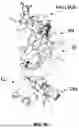 Fig. 03 - PAC1 ANTIBODIES AND USES THEREOF