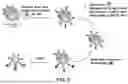 Fig. 10 - PAC1 ANTIBODIES AND USES THEREOF
