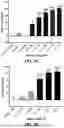 Fig. 12 - PAC1 ANTIBODIES AND USES THEREOF