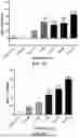 Fig. 13 - PAC1 ANTIBODIES AND USES THEREOF