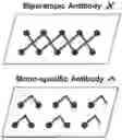 Fig. 01 - Antibody Molecules to C5AR1 and Uses Thereof