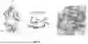 Fig. 06 - Antibody Molecules to C5AR1 and Uses Thereof