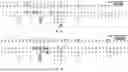 Fig. 07 - Antibody Molecules to C5AR1 and Uses Thereof