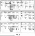 Fig. 09 - Antibody Molecules to C5AR1 and Uses Thereof