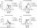 Fig. 13 - Antibody Molecules to C5AR1 and Uses Thereof
