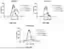 Fig. 22 - Antibody Molecules to C5AR1 and Uses Thereof