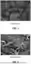 Fig. 02 - PRODUCT AND METHOD FOR STABILIZATION/CHILL PROOFING OF FERMENTED LIQUIDS