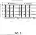 Fig. 06 - GENETICALLY MODIFIED STEM CELLS
