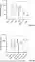 Fig. 20 - SOLUBLE ALKALINE PHOSPHATASE CONSTRUCTS AND EXPRESSION VECTORS INCLUDING A POLYNUCLEOTIDE ENCODING FOR SOLUBLE ALKALINE PHOSPHATASE CONSTRUCTS