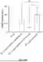 Fig. 23 - SOLUBLE ALKALINE PHOSPHATASE CONSTRUCTS AND EXPRESSION VECTORS INCLUDING A POLYNUCLEOTIDE ENCODING FOR SOLUBLE ALKALINE PHOSPHATASE CONSTRUCTS