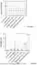 Fig. 28 - SOLUBLE ALKALINE PHOSPHATASE CONSTRUCTS AND EXPRESSION VECTORS INCLUDING A POLYNUCLEOTIDE ENCODING FOR SOLUBLE ALKALINE PHOSPHATASE CONSTRUCTS