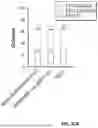 Fig. 33 - SOLUBLE ALKALINE PHOSPHATASE CONSTRUCTS AND EXPRESSION VECTORS INCLUDING A POLYNUCLEOTIDE ENCODING FOR SOLUBLE ALKALINE PHOSPHATASE CONSTRUCTS