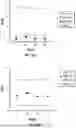 Fig. 34 - SOLUBLE ALKALINE PHOSPHATASE CONSTRUCTS AND EXPRESSION VECTORS INCLUDING A POLYNUCLEOTIDE ENCODING FOR SOLUBLE ALKALINE PHOSPHATASE CONSTRUCTS