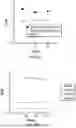 Fig. 35 - SOLUBLE ALKALINE PHOSPHATASE CONSTRUCTS AND EXPRESSION VECTORS INCLUDING A POLYNUCLEOTIDE ENCODING FOR SOLUBLE ALKALINE PHOSPHATASE CONSTRUCTS