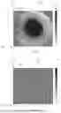 Fig. 06 - System and method for detecting a defect in a specimen