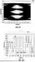 Fig. 13 - REAL-EQUIVALENT-TIME OSCILLOSCOPE