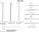 Fig. 43 - Zoom optical system, optical apparatus and method for manufacturing the zoom optical system