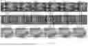 Fig. 05 - CONVOLUTION AND TRANSFORMER BASED COMPRESSIVE SENSING