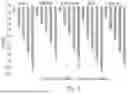 Fig. 10 - CONVOLUTION AND TRANSFORMER BASED COMPRESSIVE SENSING