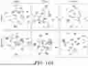 Fig. 12 - USING INTRINSIC MULTIMODAL FEATURES OF IMAGE FOR DOMAIN GENERALIZED