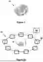 Fig. 02 - RE-IDENTIFICATION OF ROUGH GEMSTONES