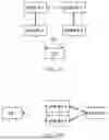 Fig. 10 - CONFIGURATION METHOD FOR NETWORK CODING FUNCTION AND RELATED APPARATUS