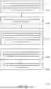 Fig. 19 - TECHNIQUES FOR TRANSMITTING A SCHEDULING REQUEST FOR PENDING HYBRID AUTOMATIC REPEAT REQUEST BITS