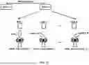 Fig. 15 - MULTIPLEXING BASED ON HARQ FEEDBACK ENABLEMENT