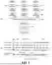 Fig. 06 - METHOD, DEVICE, AND SYSTEM FOR CHANNEL ACCESS IN UNLICENSED BAND