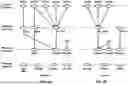 Fig. 06 - Beam Management in Multiple Transmission and Reception Points