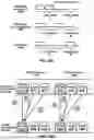 Fig. 11 - Beam Management in Multiple Transmission and Reception Points