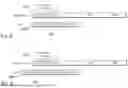 Fig. 06 - METHOD AND APPARATUS FOR NEGOTIATING A BLOCK ACKNOWLEDGEMENT AGREEMENT