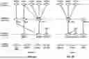 Fig. 06 - Channel Access Priority Class for Multi-Consecutive Slots Sidelink Transmissions