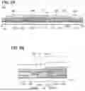 Fig. 09 - Display Device