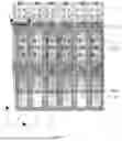 Fig. 15 - Display substrate including common initialization voltage signal line, display panel, and display apparatus