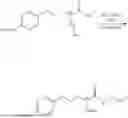 Fig. 1007 - TLR2 MODULATOR COMPOUNDS, PHARMACEUTICAL COMPOSITIONS AND USES THEREOF