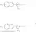 Fig. 02 - METHODS OF TREATING SPINAL CORD INJURY OR DAMAGE