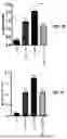 Fig. 07 - METHODS OF TREATING NEURODEGENERATIVE DISORDERS WITH INTRANASAL NF-KAPPAB ESSENTIAL MODIFIER (NEMO)-BINDING DOMAIN (NBD) PEPTIDE