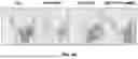 Fig. 09 - METHODS OF TREATING NEURODEGENERATIVE DISORDERS WITH INTRANASAL NF-KAPPAB ESSENTIAL MODIFIER (NEMO)-BINDING DOMAIN (NBD) PEPTIDE