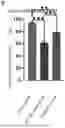 Fig. 01 - APPLICATION OF INSULIN-LIKE GROWTH FACTOR-BINDING PROTEIN 2 IN PREPARATION OF DRUGS FOR RESISTING MENTAL DISORDERS CAUSED BY EARLY LIFE STRESS