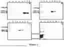 Fig. 04 - HUMAN HERPESVIRUS IMMUNOTHERAPY