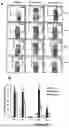 Fig. 13 - HUMAN HERPESVIRUS IMMUNOTHERAPY