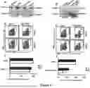 Fig. 16 - HUMAN HERPESVIRUS IMMUNOTHERAPY