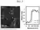 Fig. 06 - MICROPOROUS GRAPHENE OXIDE SHEET, DISPERSION, AND MEMBRANE INCLUDING THE SAME