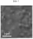 Fig. 08 - MICROPOROUS GRAPHENE OXIDE SHEET, DISPERSION, AND MEMBRANE INCLUDING THE SAME