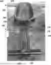 Fig. 01 - WIRELESS 3 WHEELED MORTORIZED VECHICLE