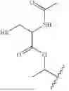 Fig. 22 - COMPOUNDS AND METHODS FOR THE TREATMENT OF OCULAR DISORDERS