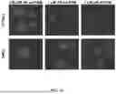Fig. 23 - MULTIVALENT NANO-'SELF' PEPTIDES AND USES THEREOF