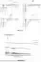 Fig. 24 - MULTIVALENT NANO-'SELF' PEPTIDES AND USES THEREOF