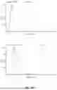 Fig. 30 - MULTIVALENT NANO-'SELF' PEPTIDES AND USES THEREOF